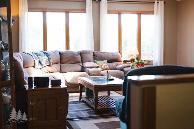 881 N Red Oak Rd, Lewiston, MI 49756 - view of living room