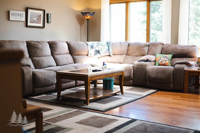881 N Red Oak Rd, Lewiston, MI 49756 - living room featuring wood finished floors