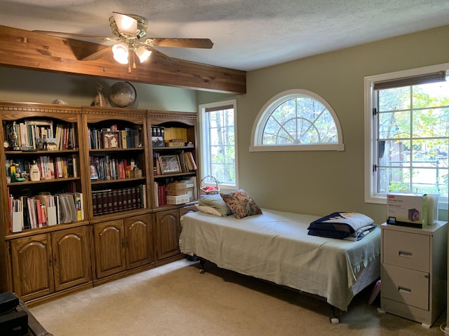 1325 Crestview Dr, Alpena, MI 49707 - photo 43