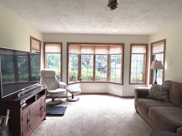 1325 Crestview Dr, Alpena, MI 49707 - photo 24
