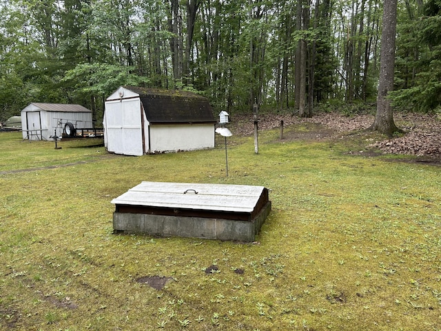 15939 Hiawatha Trl, Atlanta, MI 49709 - view of storm shelter with a shed and a yard