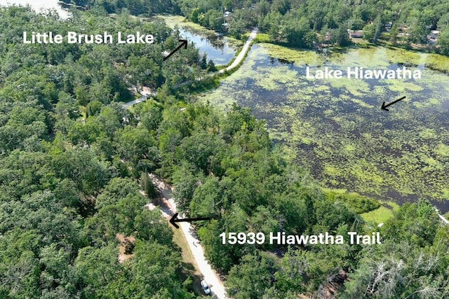 15939 Hiawatha Trl, Atlanta, MI 49709 - photo 1