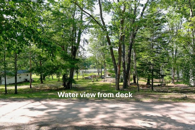 15939 Hiawatha Trl, Atlanta, MI 49709 - photo 2