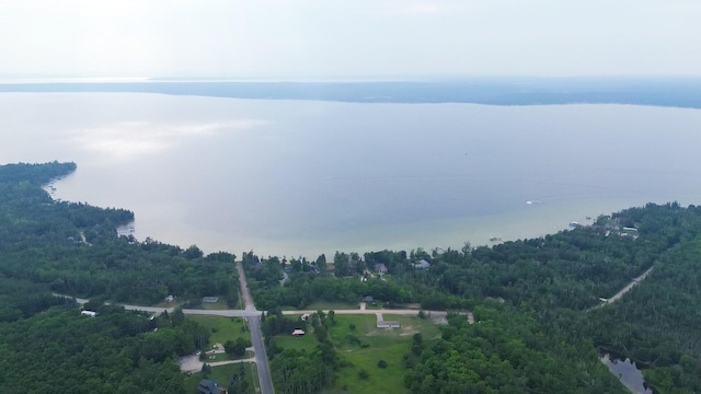 1076 Devereaux Lake Rd, Indian River, MI 49749 - photo 4