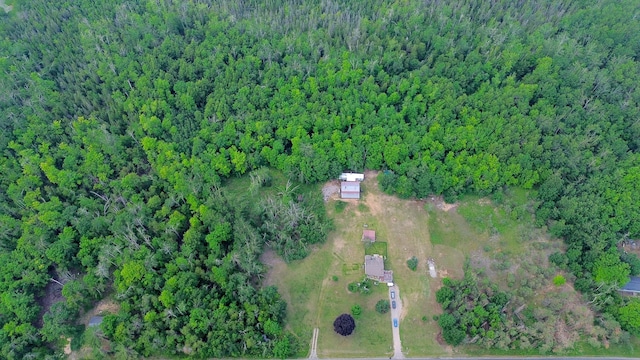 1076 Devereaux Lake Rd, Indian River, MI 49749 - photo 39