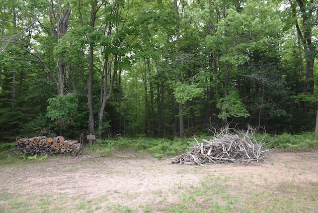 1076 Devereaux Lake Rd, Indian River, MI 49749 - photo 41