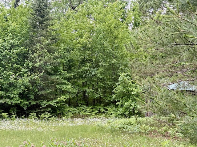 16444 Cricket Trl, Wolverine, MI 49799 - photo 4