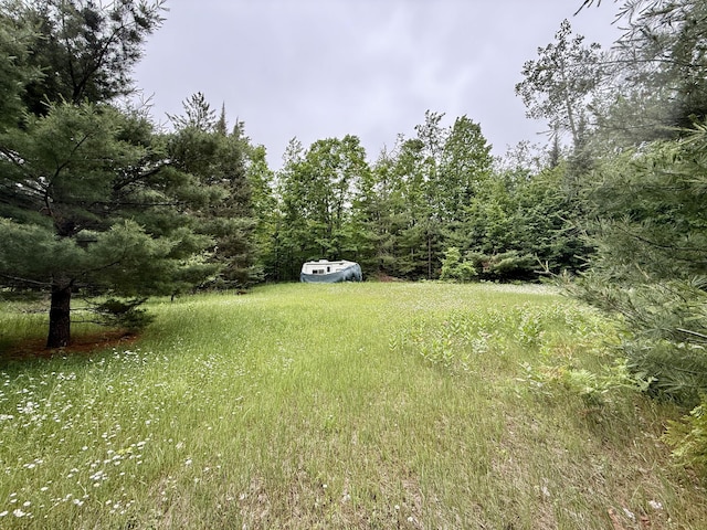 16444 Cricket Trl, Wolverine, MI 49799 - photo 1