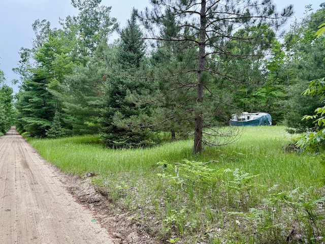 16444 Cricket Trl, Wolverine, MI 49799 - photo 6