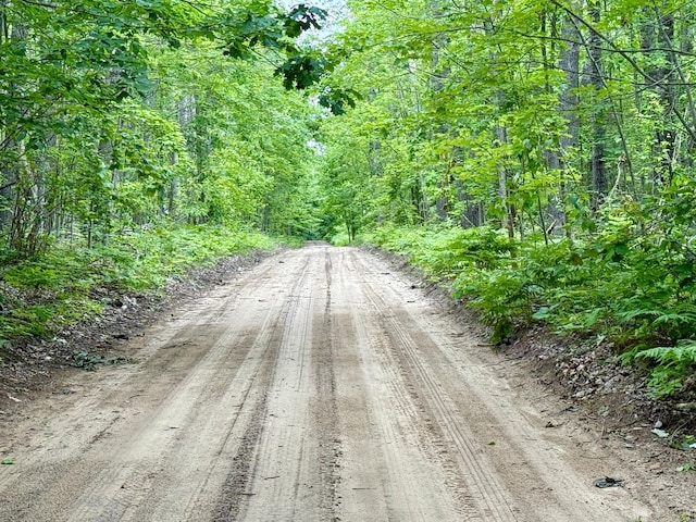 16444 Cricket Trl, Wolverine, MI 49799 - photo 10