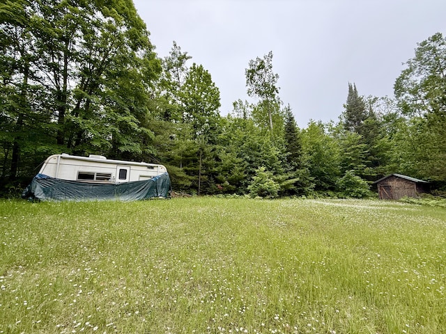 16444 Cricket Trl, Wolverine, MI 49799 - photo 3