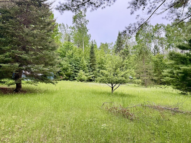 16444 Cricket Trl, Wolverine, MI 49799 - photo 5