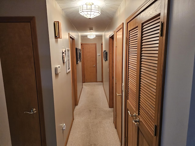 14911 Kings Ln, Ocqueoc, MI 49759 - hallway featuring light carpet