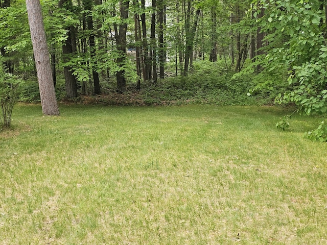 14911 Kings Ln, Ocqueoc, MI 49759 - view of yard
