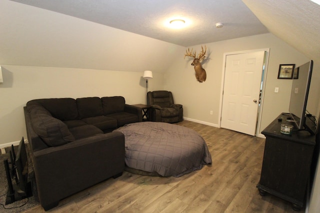2150 Danish Landing Rd, Grayling, MI 49738 - living area with vaulted ceiling, wood finished floors, and a textured ceiling