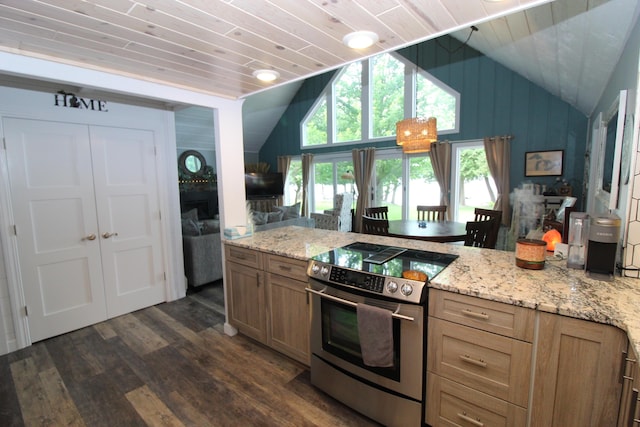 2150 Danish Landing Rd, Grayling, MI 49738 - kitchen with electric stove, wood ceiling, vaulted ceiling, dark wood finished floors, and light stone counters