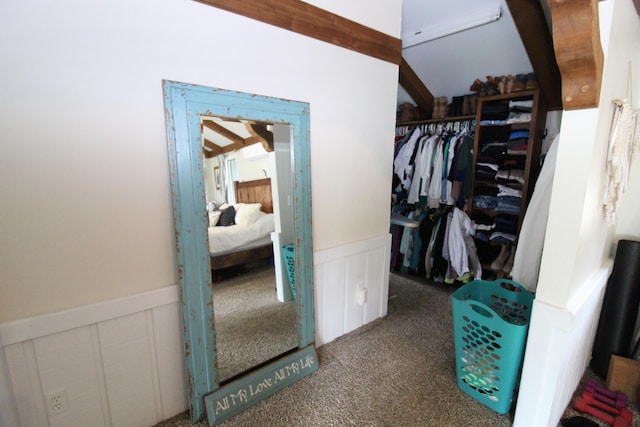 2150 Danish Landing Rd, Grayling, MI 49738 - spacious closet with carpet flooring