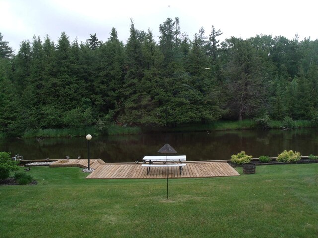 6679 Barbara Ave, Indian River, MI 49749 - photo 11