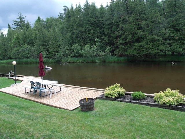 6679 Barbara Ave, Indian River, MI 49749 - photo 52