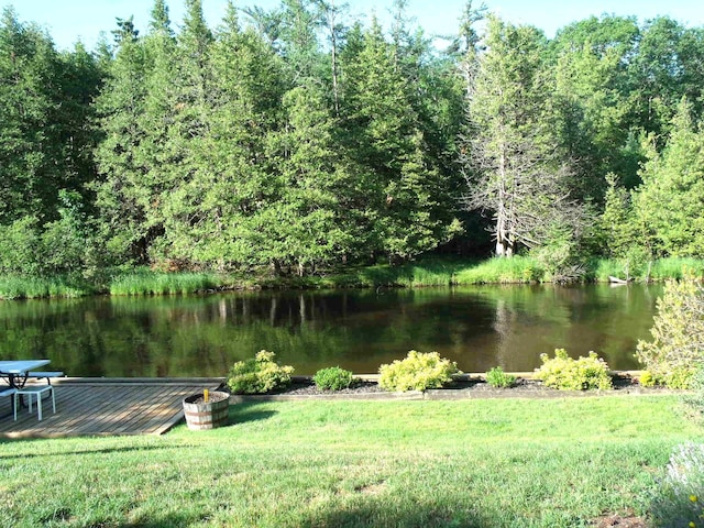 6679 Barbara Ave, Indian River, MI 49749 - photo 63