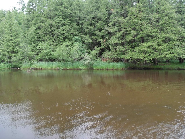 6679 Barbara Ave, Indian River, MI 49749 - photo 71