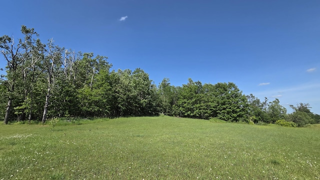 6871 M-32, Atlanta, MI 49709 - photo 7