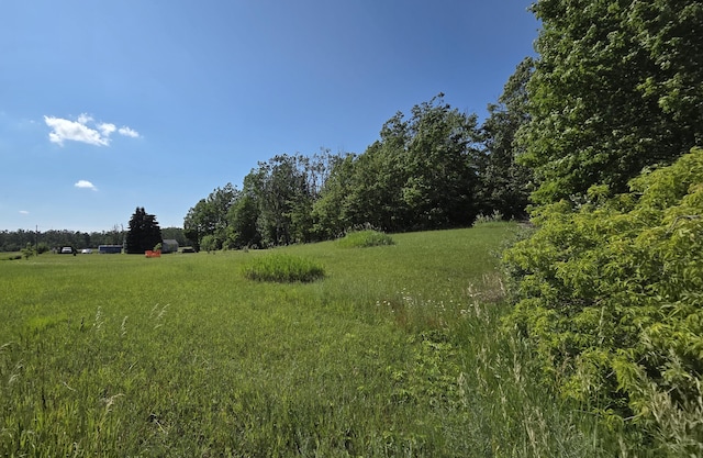 6871 M-32, Atlanta, MI 49709 - photo 9