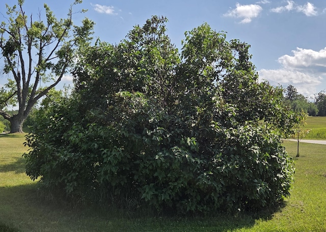 6871 M-32, Atlanta, MI 49709 - photo 10