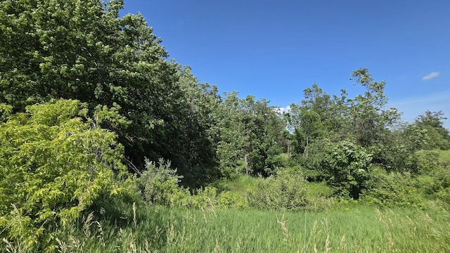 6871 M-32, Atlanta, MI 49709 - photo 8