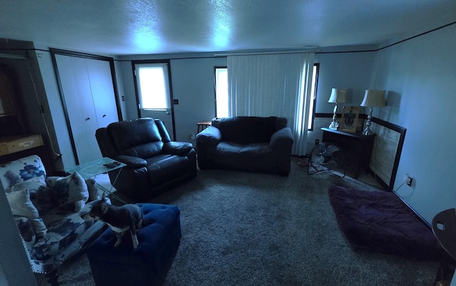 6871 M-32, Atlanta, MI 49709 - photo 17