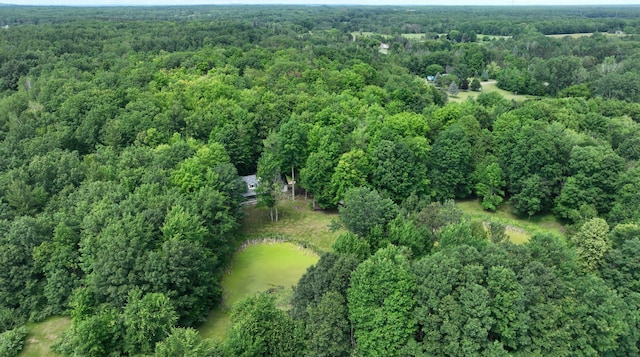 7090 Nancy K Dr, Hale, MI 48739 - aerial view of property's location with a heavily wooded area