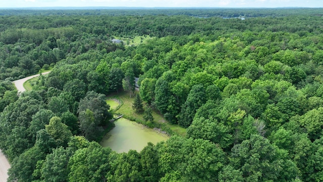 7090 Nancy K Dr, Hale, MI 48739 - aerial overview of property's location with a heavily wooded area