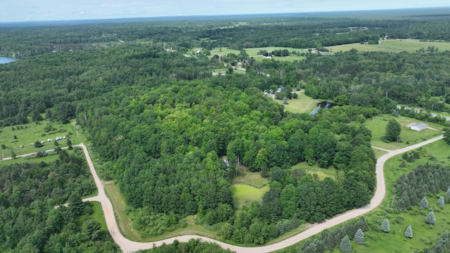7090 Nancy K Dr, Hale, MI 48739 - view of property location with a forest and a large body of water