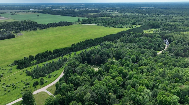 7090 Nancy K Dr, Hale, MI 48739 - overview of rural landscape