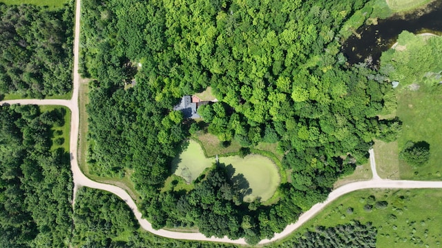 7090 Nancy K Dr, Hale, MI 48739 - aerial view of property's location with property parcel outlined