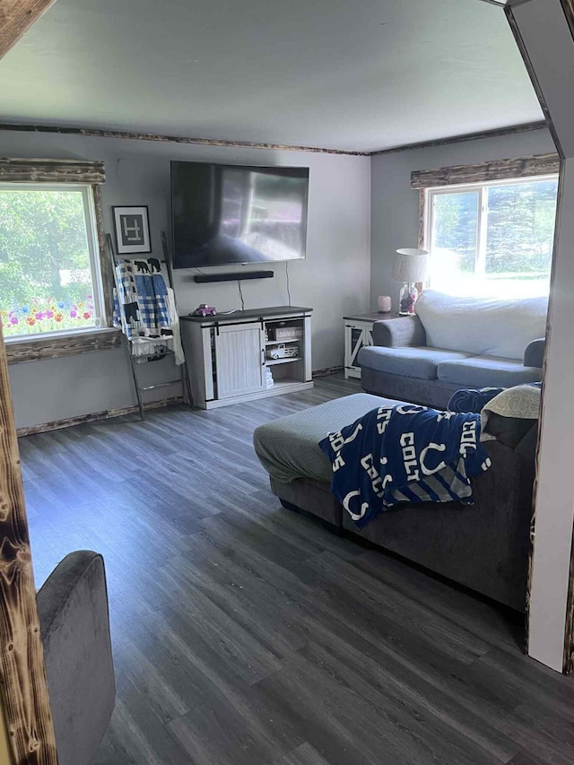 4130 Werth Rd, Alpena, MI 49707 - living room with wood finished floors