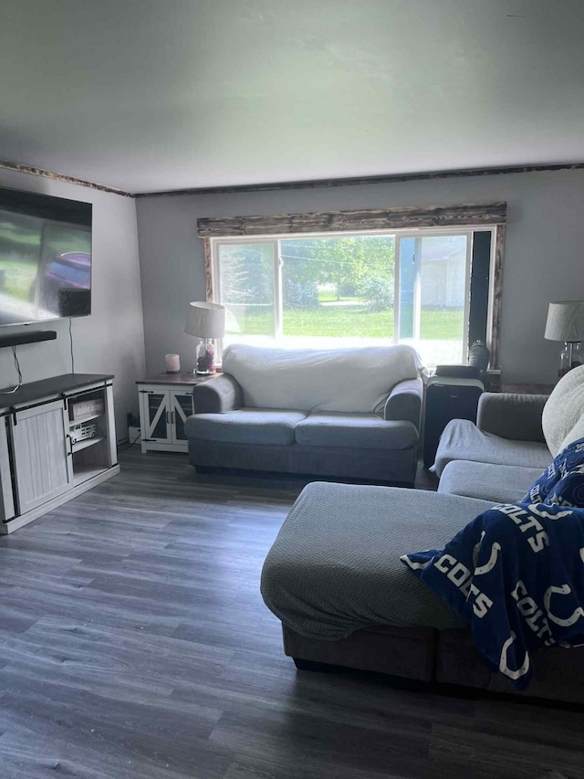 4130 Werth Rd, Alpena, MI 49707 - living area featuring wood finished floors