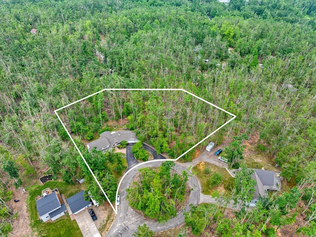 982 Shaggy Bark Ct, Gaylord, MI 49735 - aerial overview of property's location with property parcel outlined and a forest