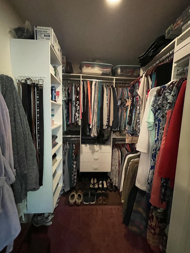 982 Shaggy Bark Ct, Gaylord, MI 49735 - walk in closet with carpet floors