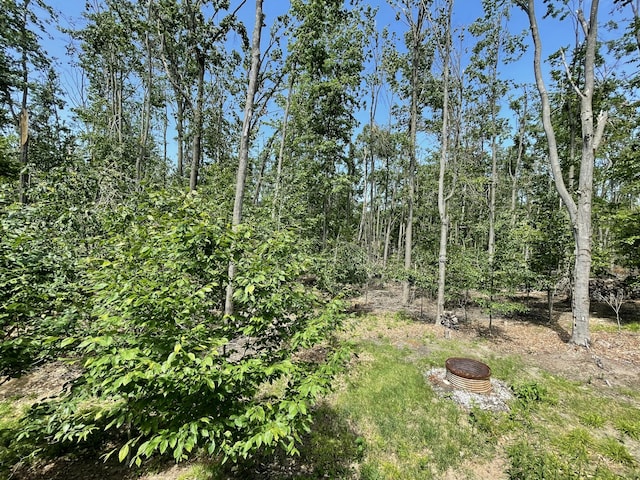 982 Shaggy Bark Ct, Gaylord, MI 49735 - view of undeveloped land