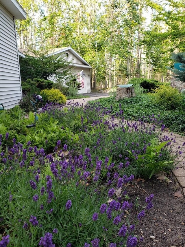982 Shaggy Bark Ct, Gaylord, MI 49735 - photo 47
