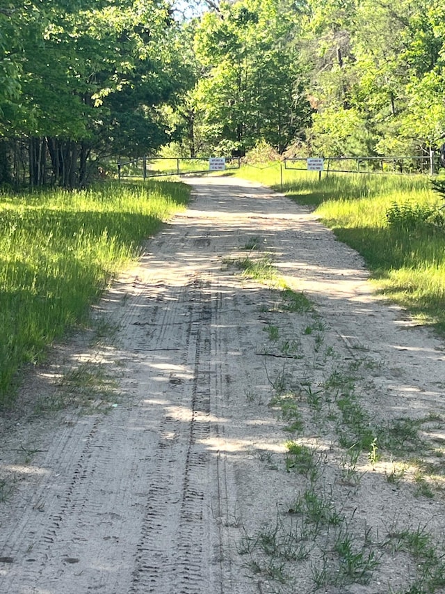 27.7AC Damrose Dr, Atlanta, MI 49709 - photo 5