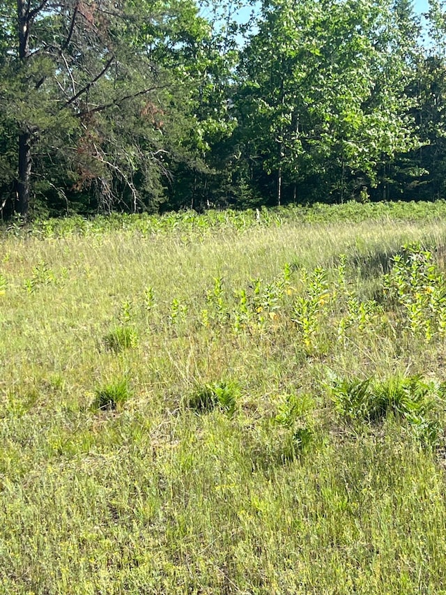 27.7AC Damrose Dr, Atlanta, MI 49709 - photo 8