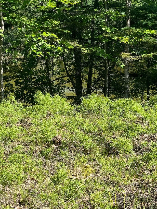 27.7AC Damrose Dr, Atlanta, MI 49709 - photo 10