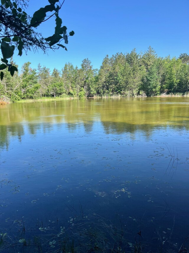 27.7AC Damrose Dr, Atlanta, MI 49709 - photo 1