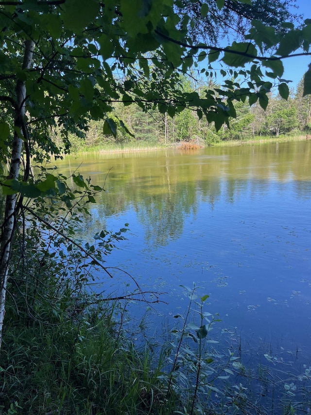 27.7AC Damrose Dr, Atlanta, MI 49709 - photo 2