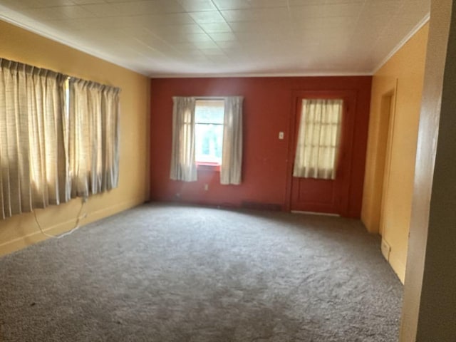 711 S 8th Ave, Alpena, MI 49707 - empty room featuring carpet floors and crown molding