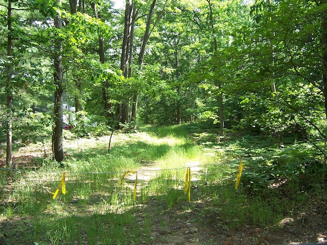 5ACRES W Birch Rd, Roscommon, MI 48653 - photo 1