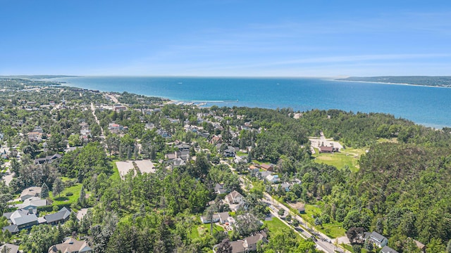 1124 E Mitchell St, Petoskey, MI 49770 - photo 43