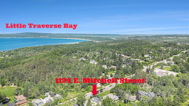 1124 E Mitchell St, Petoskey, MI 49770